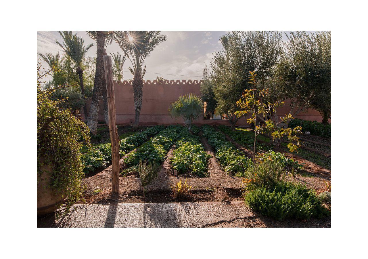 Villa 55 Marrakech Marrakesh Eksteriør bilde