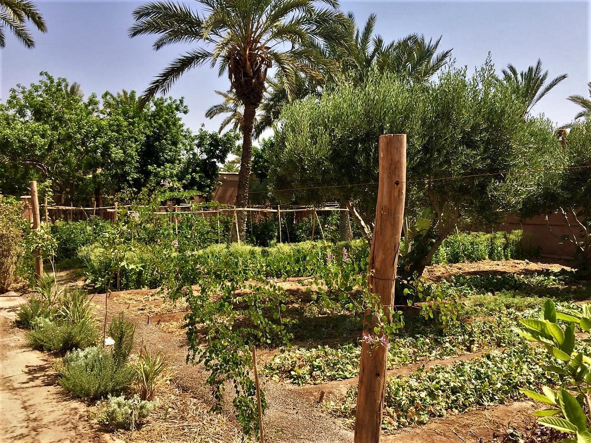 Villa 55 Marrakech Marrakesh Eksteriør bilde